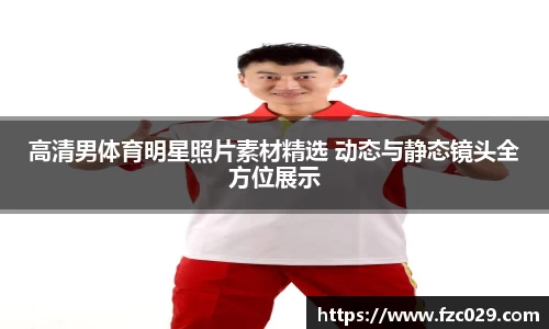 BB贝博登录入口